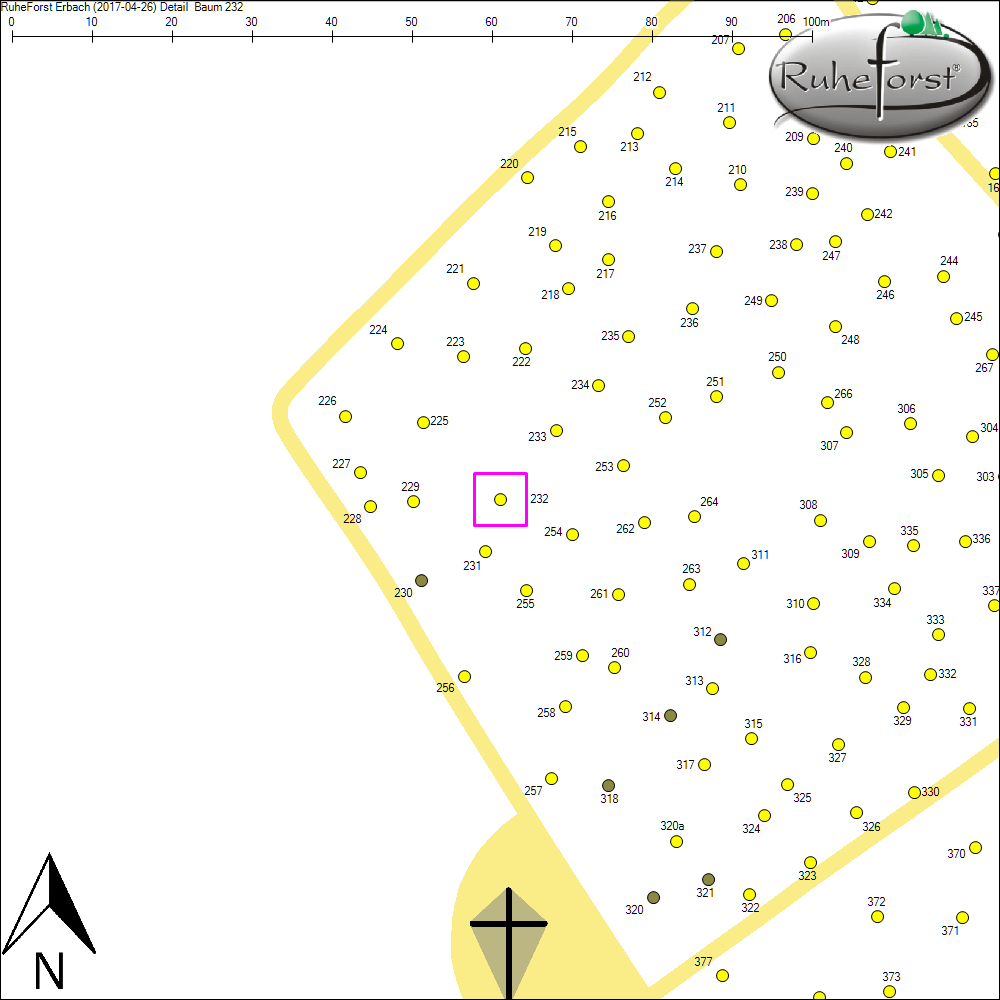 Detailkarte zu Baum 232