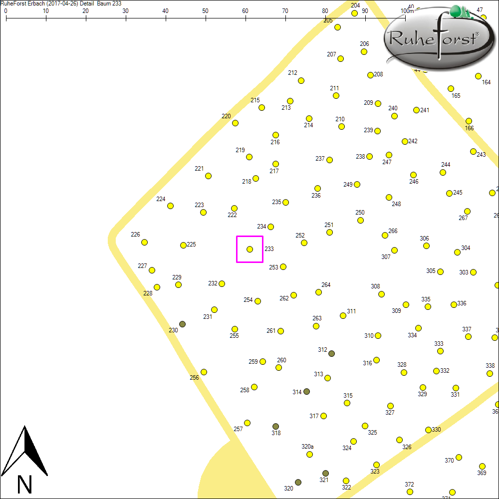 Detailkarte zu Baum 233