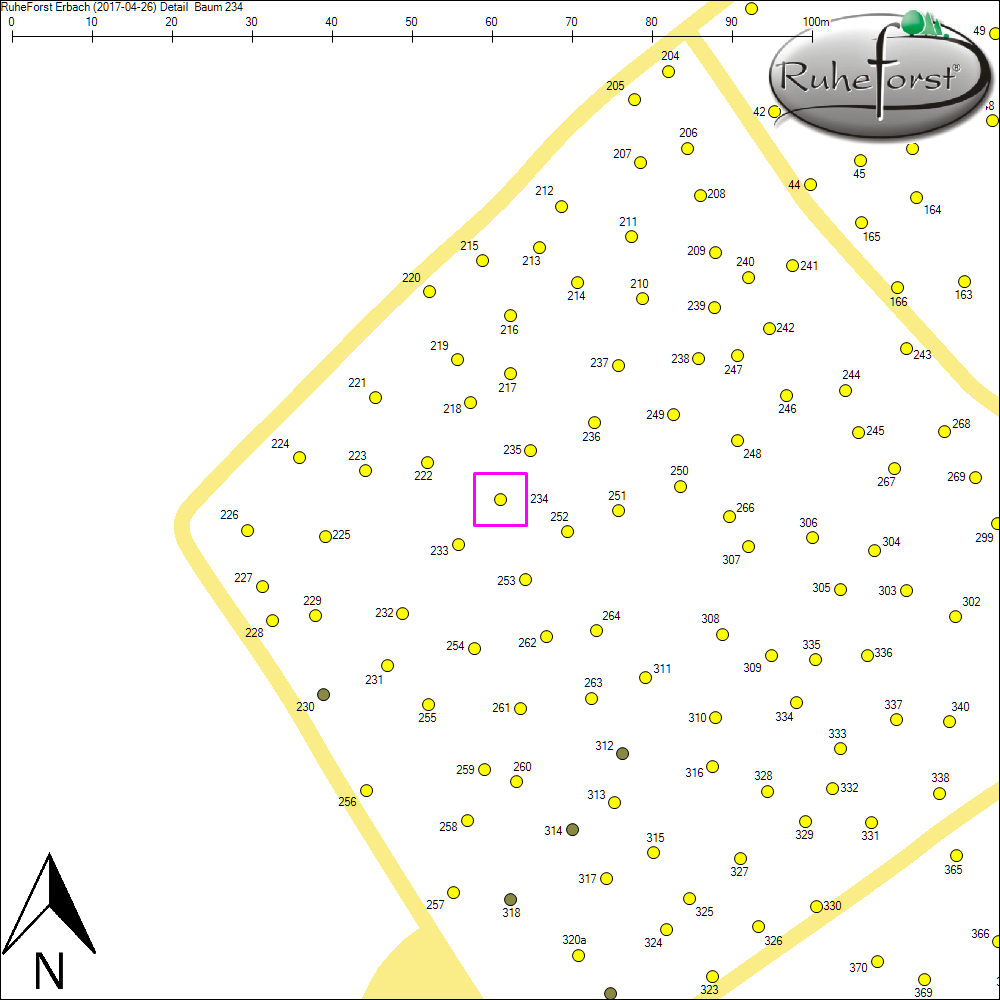 Detailkarte zu Baum 234