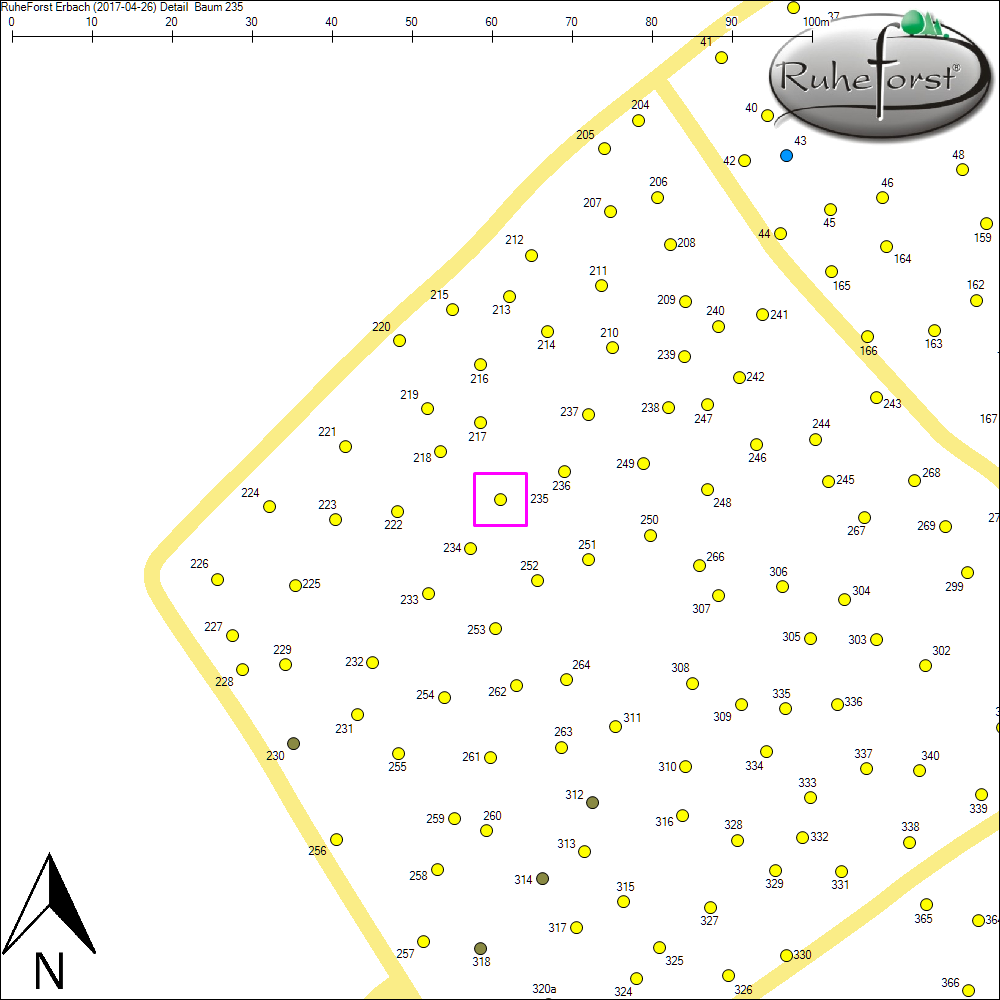 Detailkarte zu Baum 235