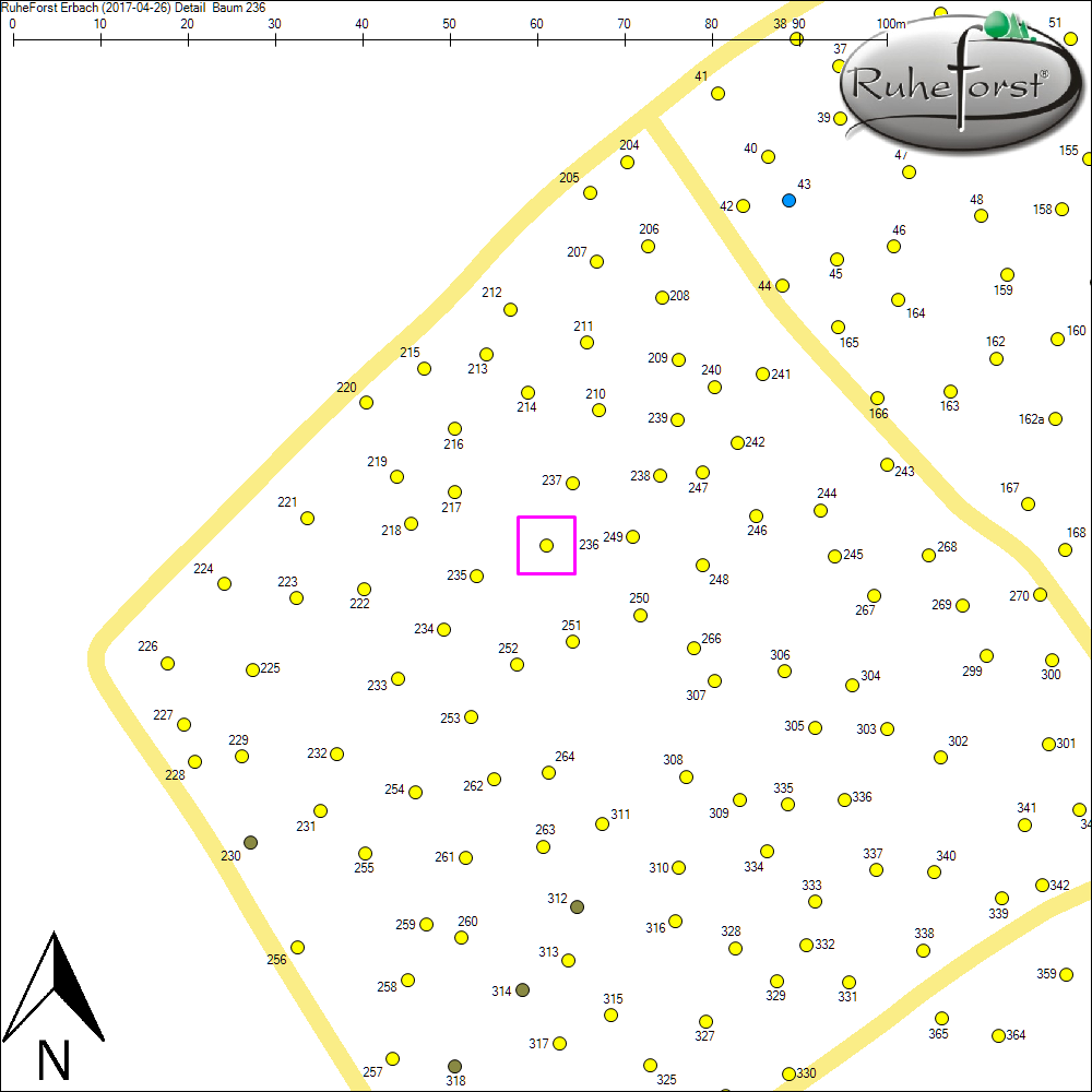 Detailkarte zu Baum 236