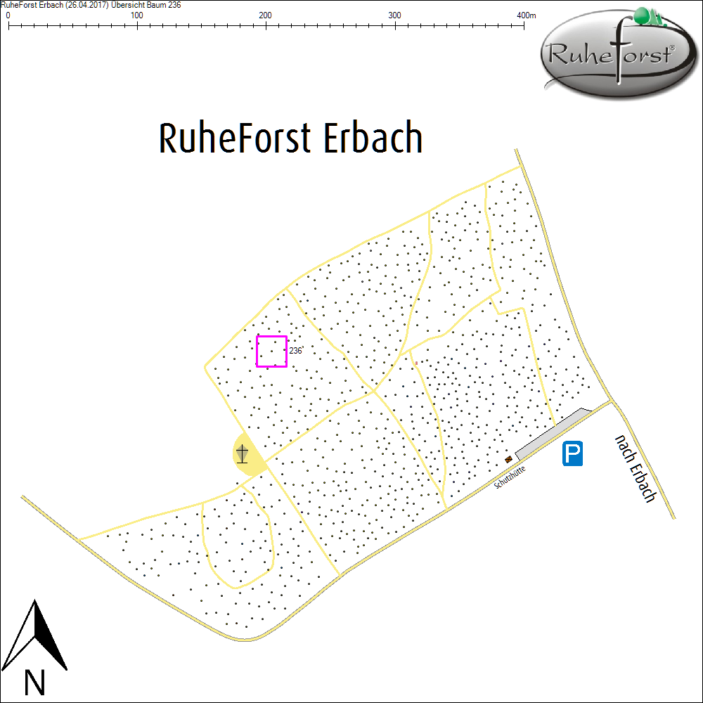 &Uuml;bersichtskarte zu Baum 236