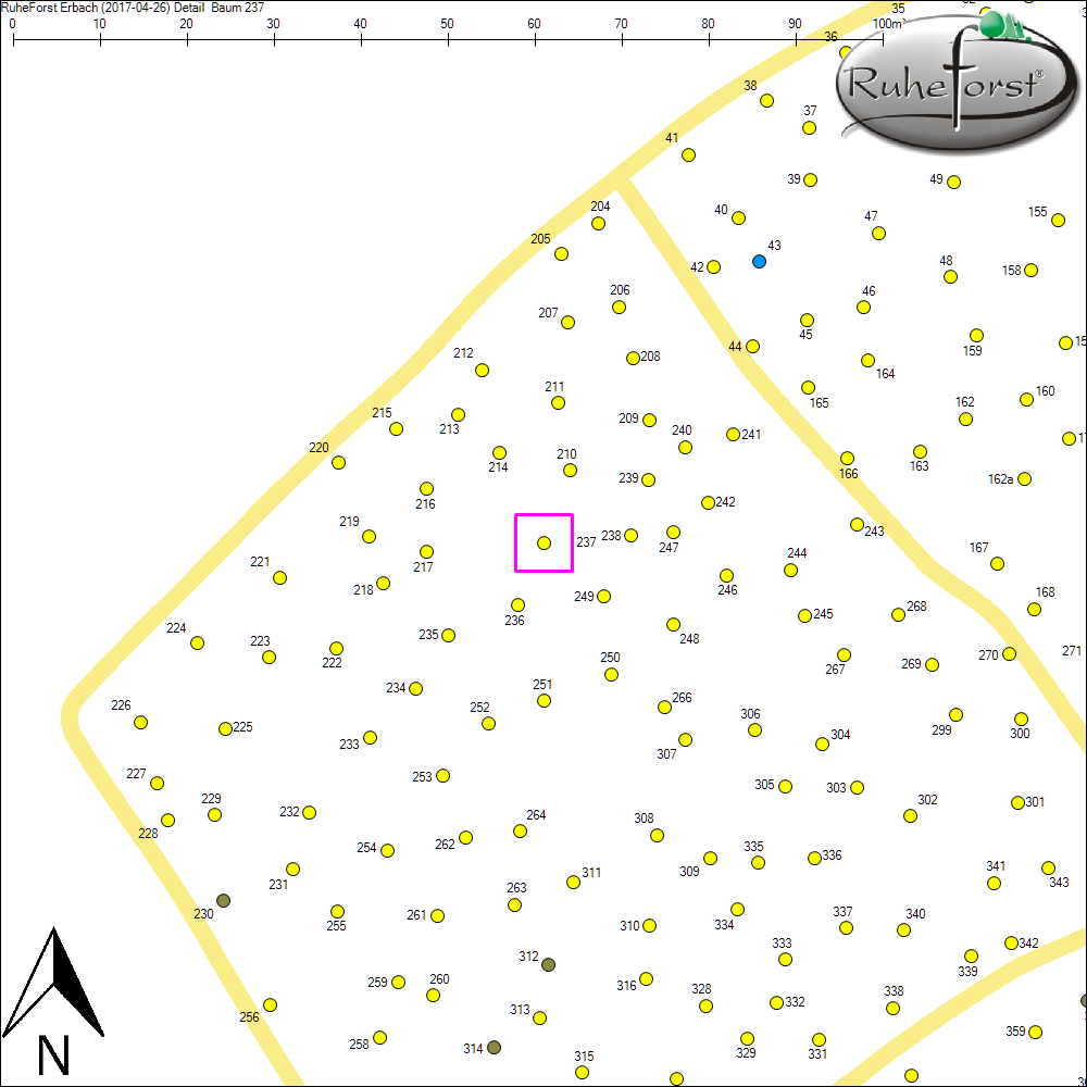 Detailkarte zu Baum 237