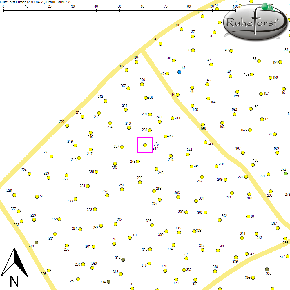 Detailkarte zu Baum 238