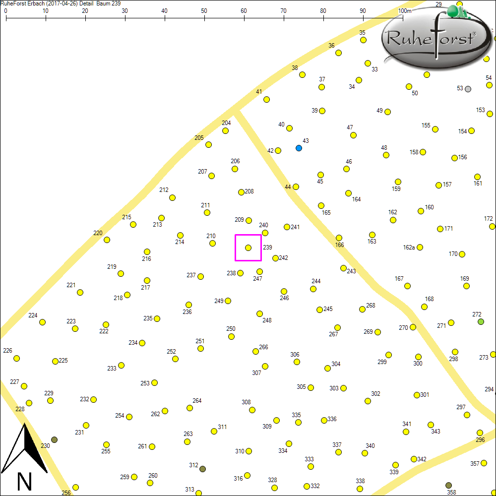 Detailkarte zu Baum 239