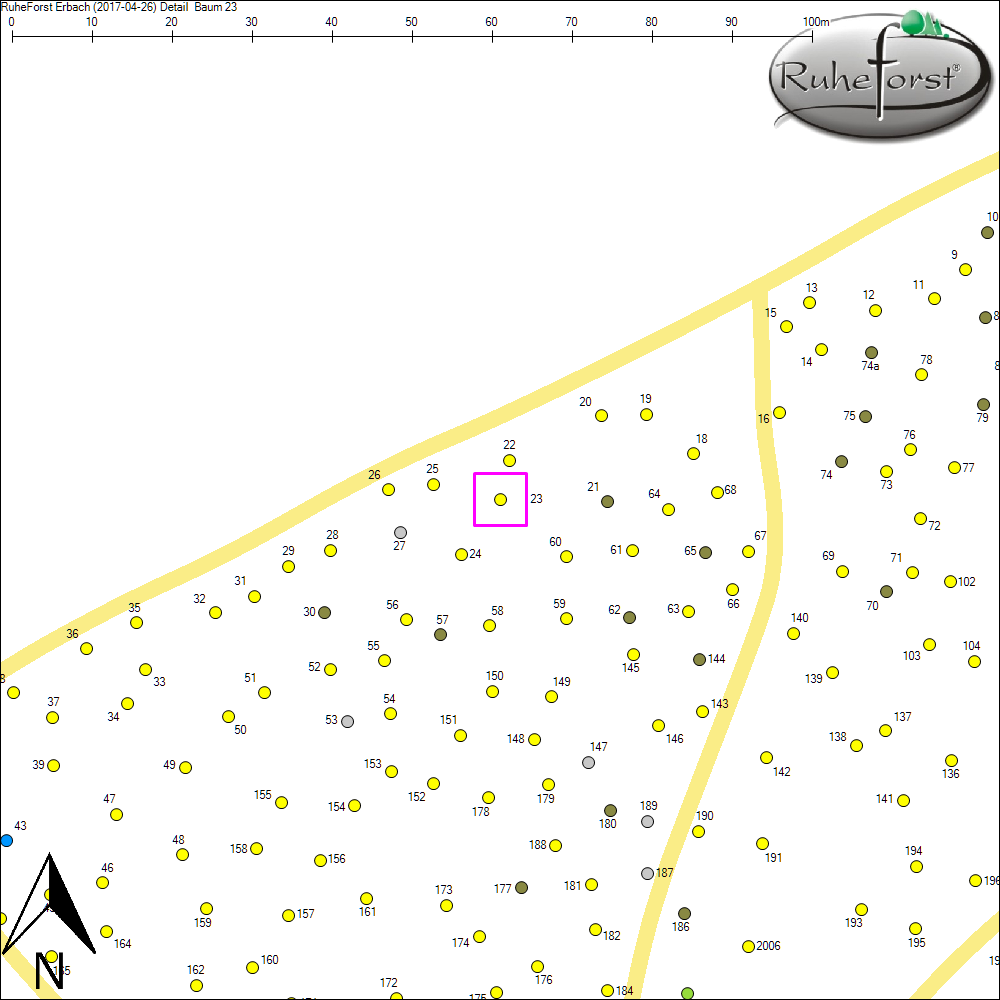 Detailkarte zu Baum 23