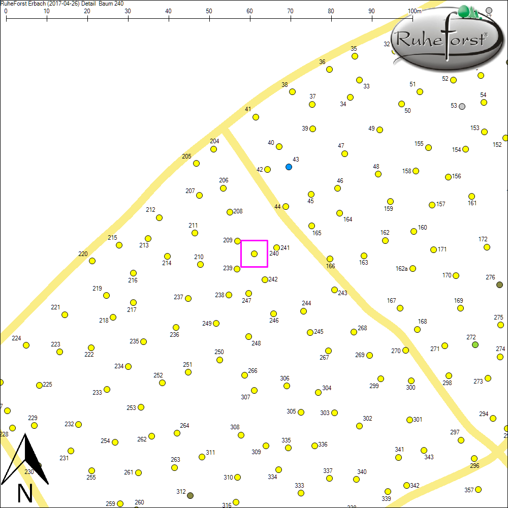 Detailkarte zu Baum 240