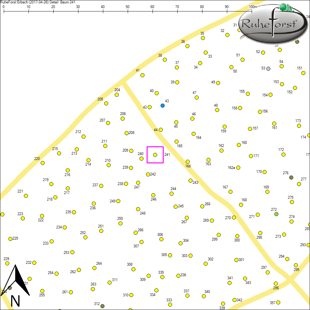 Detailkarte zu Baum 241