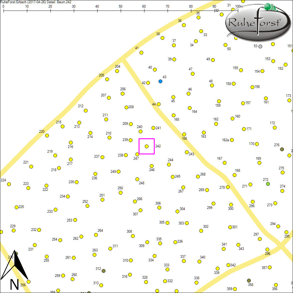 Detailkarte zu Baum 242