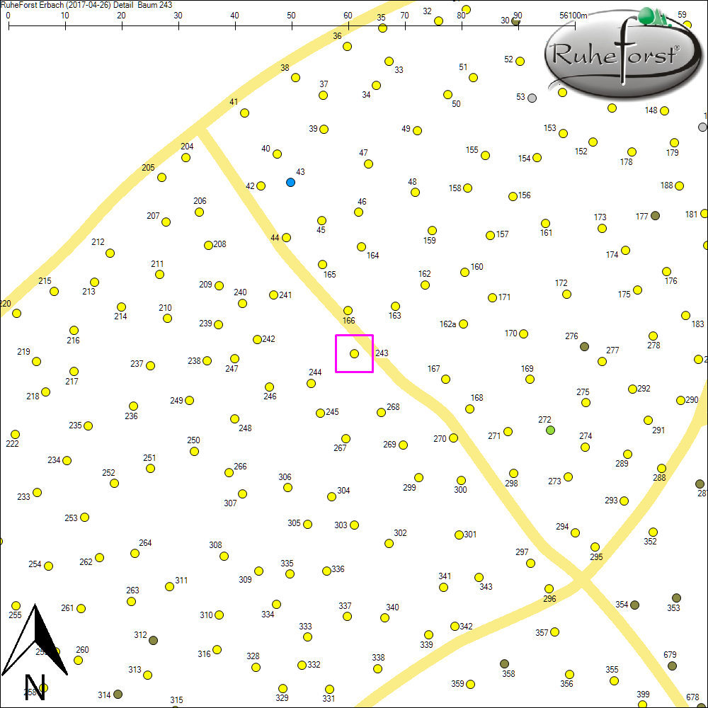 Detailkarte zu Baum 243