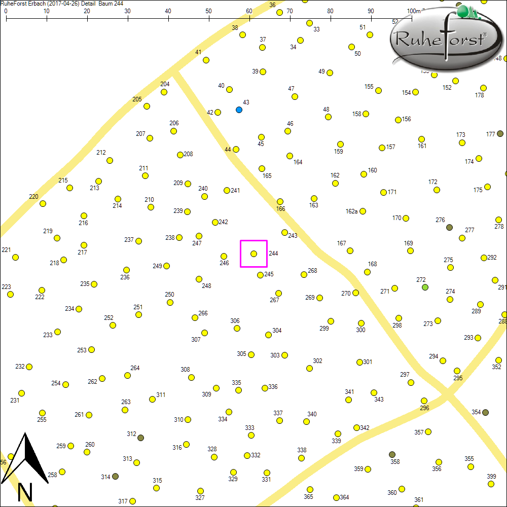 Detailkarte zu Baum 244