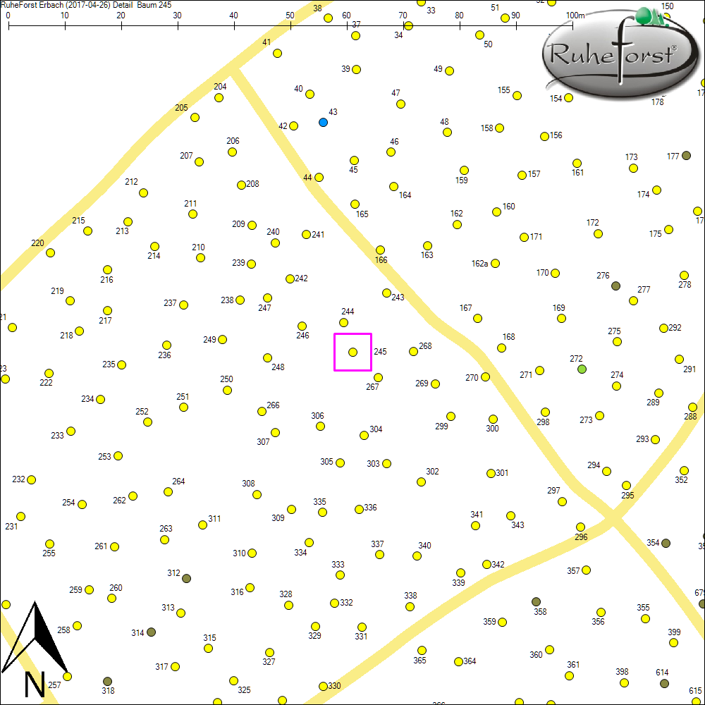 Detailkarte zu Baum 245