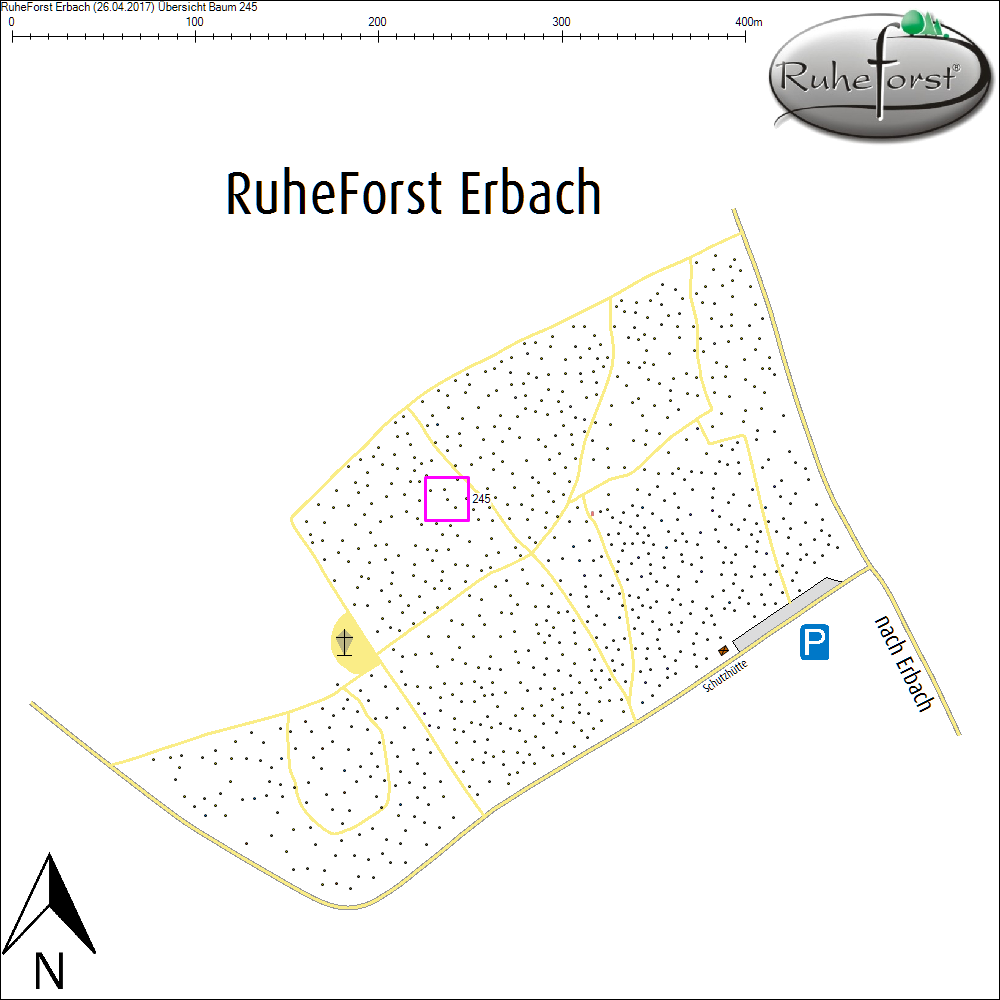 &Uuml;bersichtskarte zu Baum 245