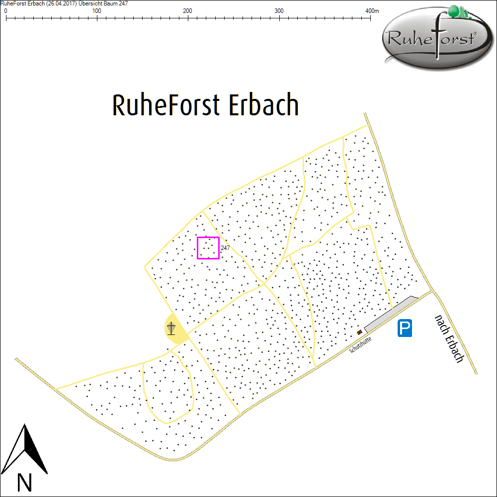 &Uuml;bersichtskarte zu Baum 247