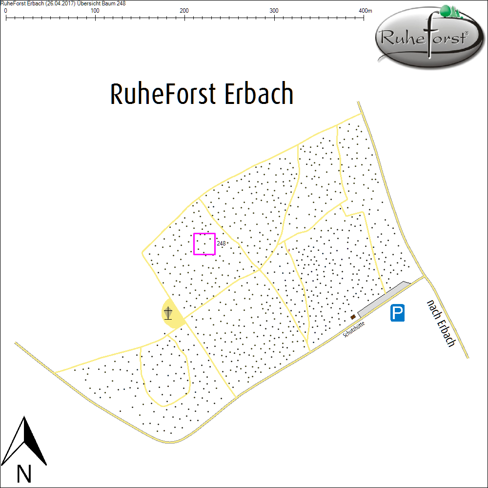 &Uuml;bersichtskarte zu Baum 248