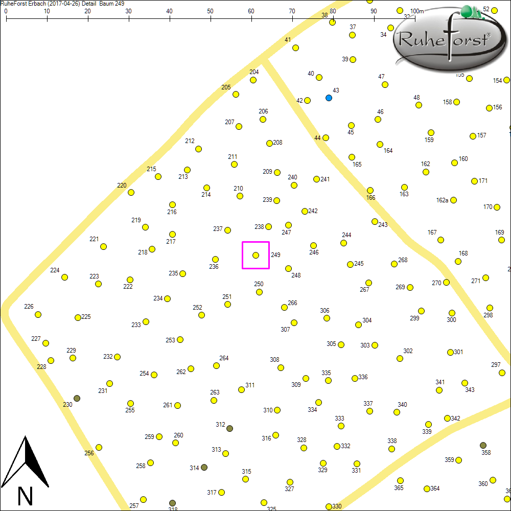 Detailkarte zu Baum 249