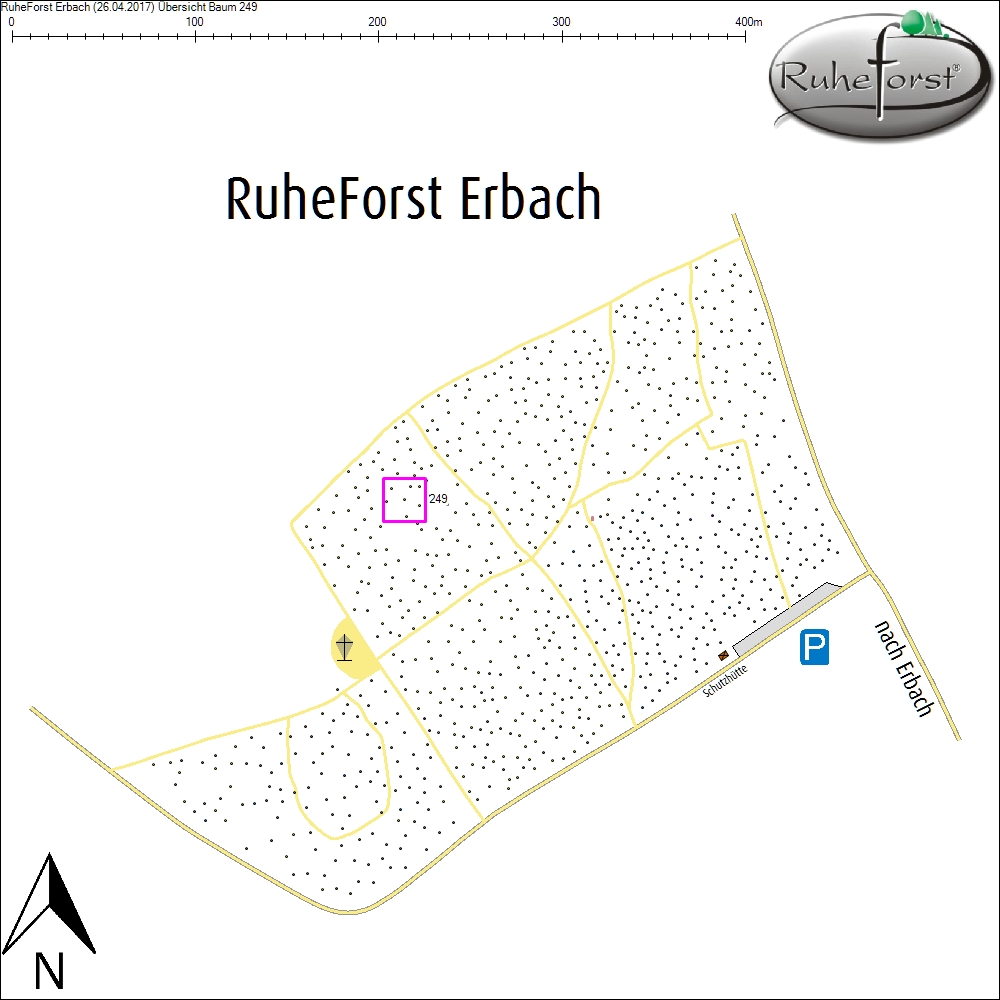 &Uuml;bersichtskarte zu Baum 249