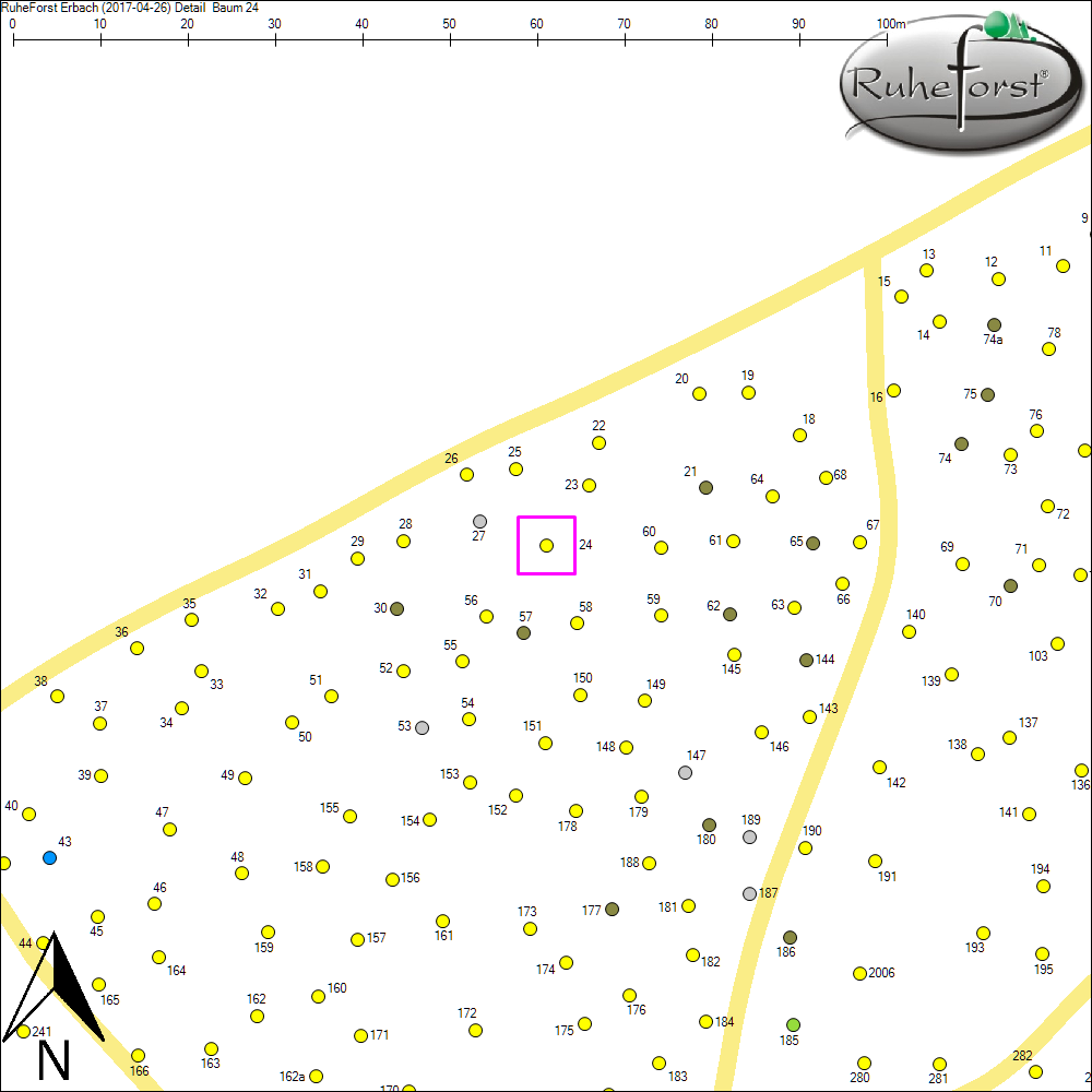 Detailkarte zu Baum 24