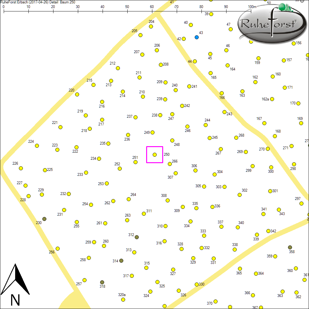 Detailkarte zu Baum 250