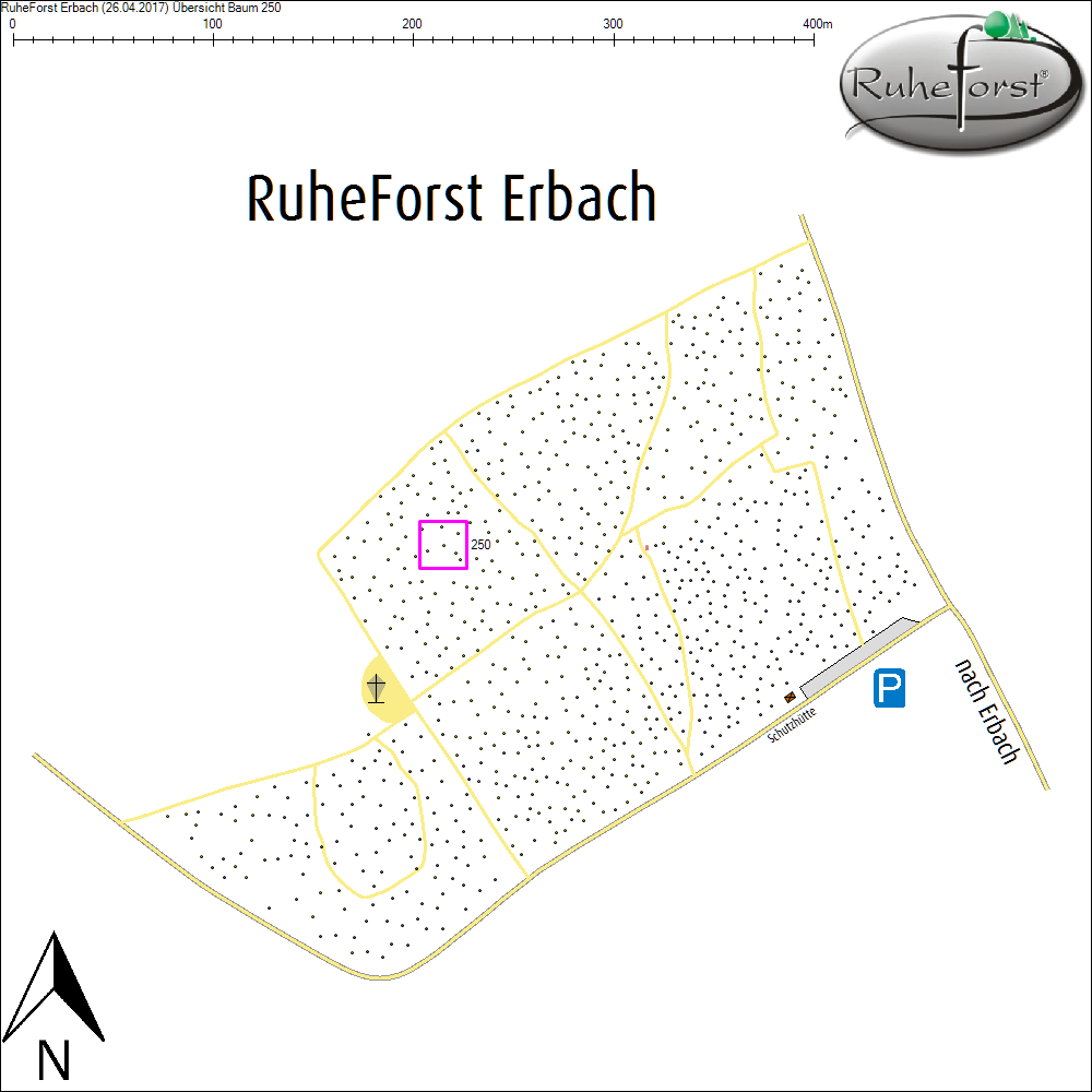 &Uuml;bersichtskarte zu Baum 250