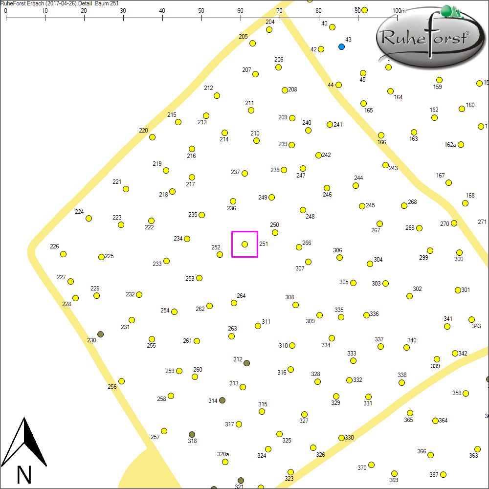 Detailkarte zu Baum 251
