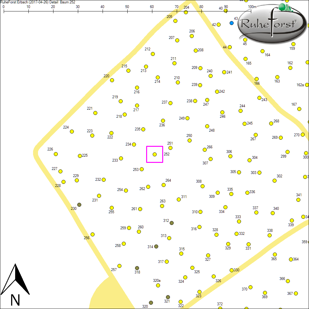 Detailkarte zu Baum 252