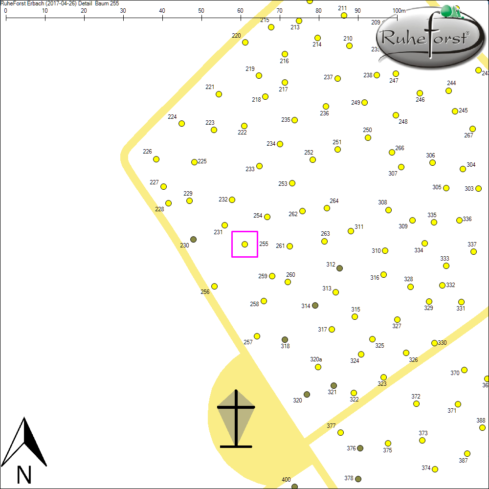 Detailkarte zu Baum 255