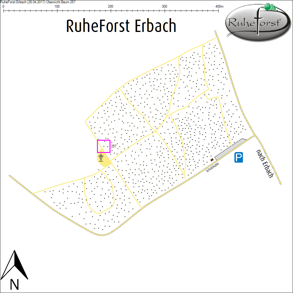 &Uuml;bersichtskarte zu Baum 257
