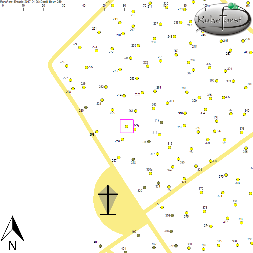 Detailkarte zu Baum 259