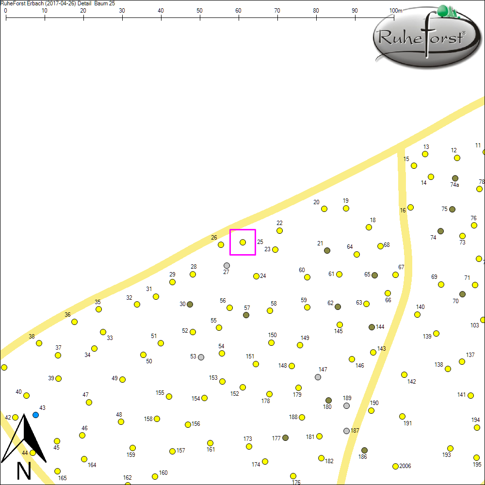 Detailkarte zu Baum 25