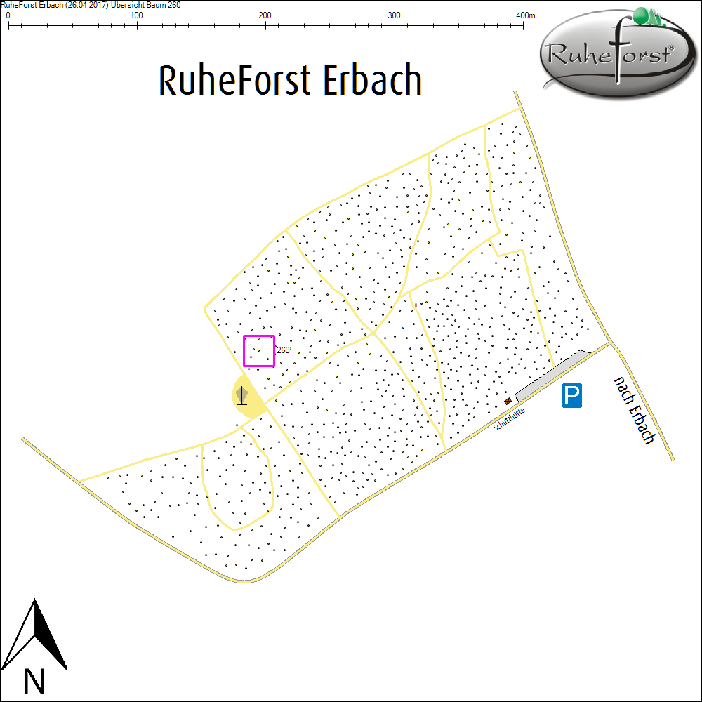 &Uuml;bersichtskarte zu Baum 260