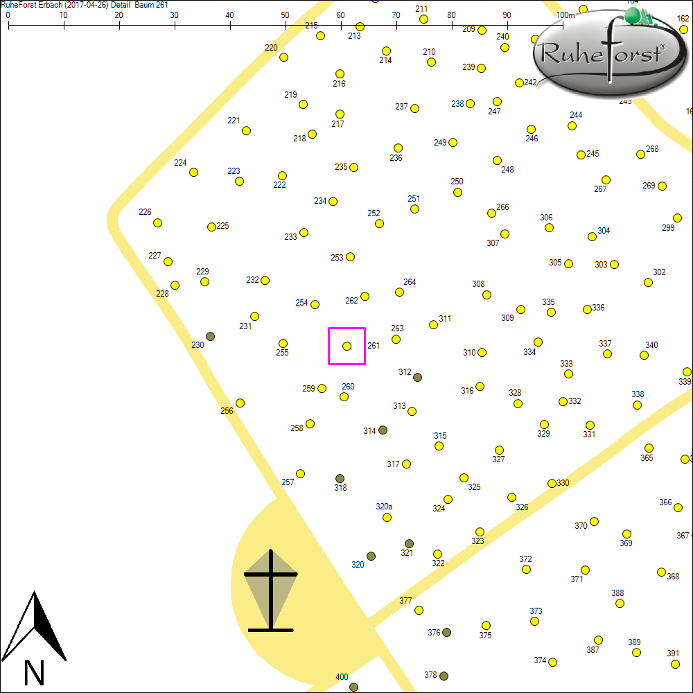 Detailkarte zu Baum 261