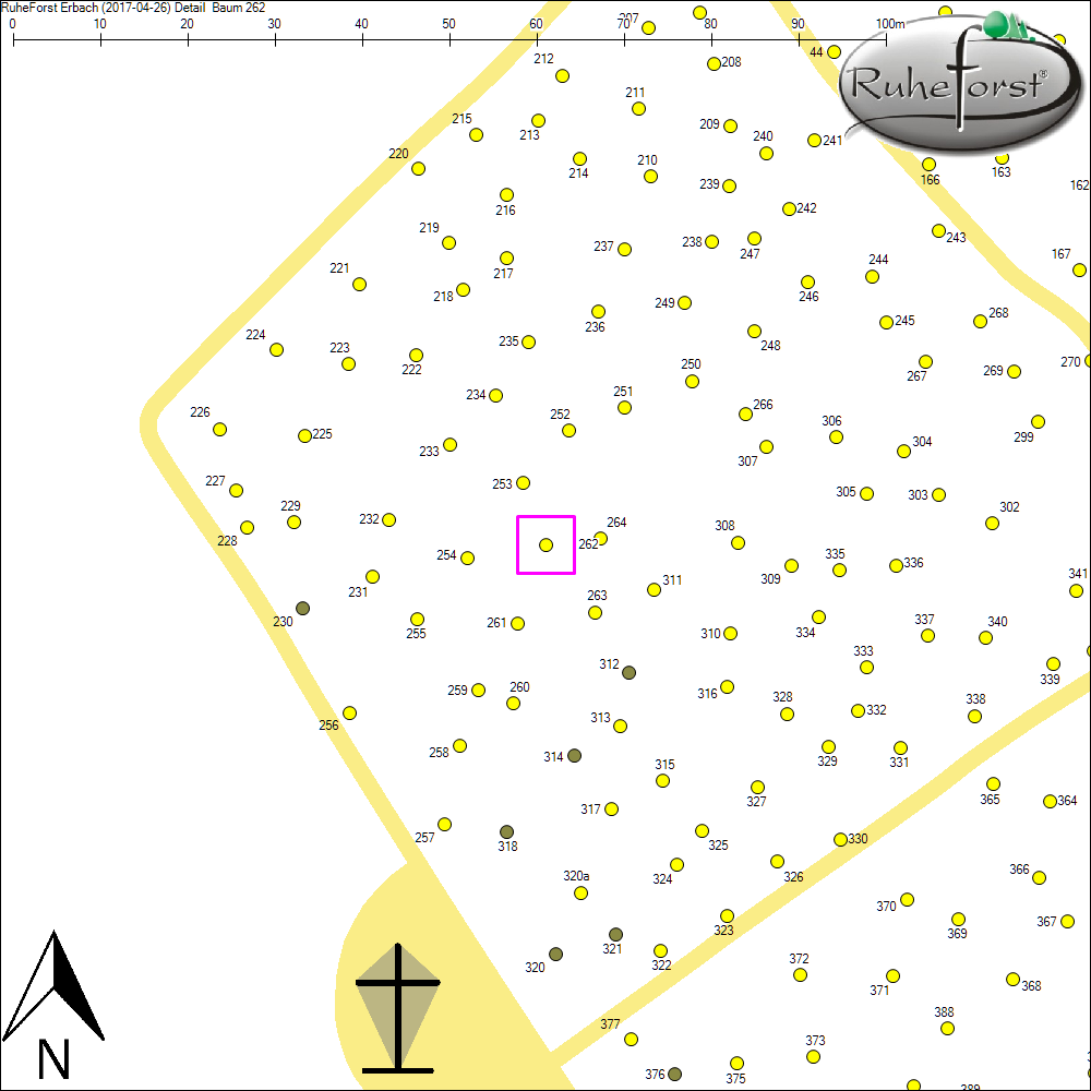 Detailkarte zu Baum 262