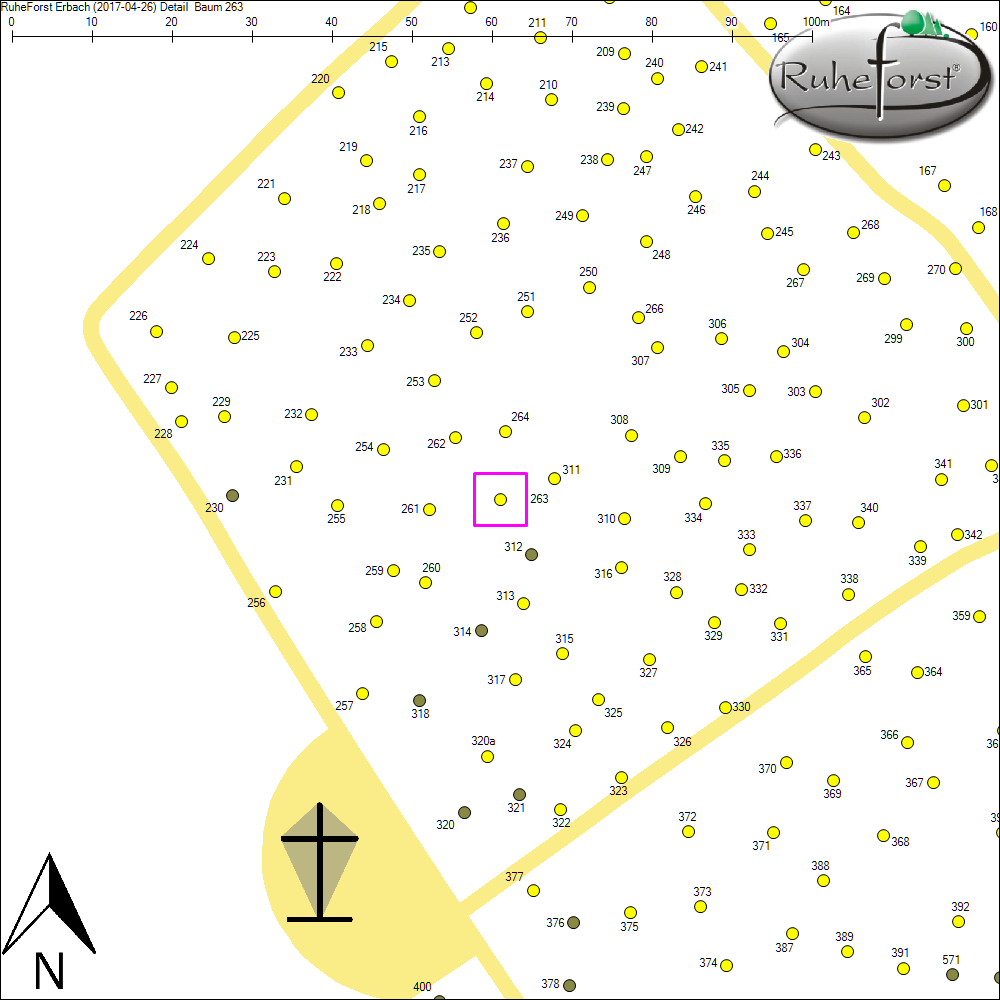 Detailkarte zu Baum 263