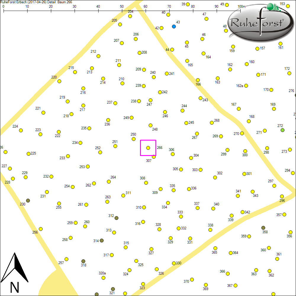 Detailkarte zu Baum 266