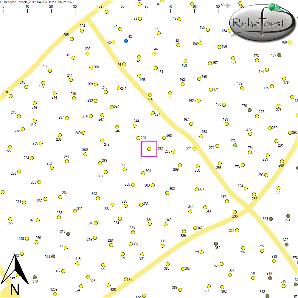 Detailkarte zu Baum 267