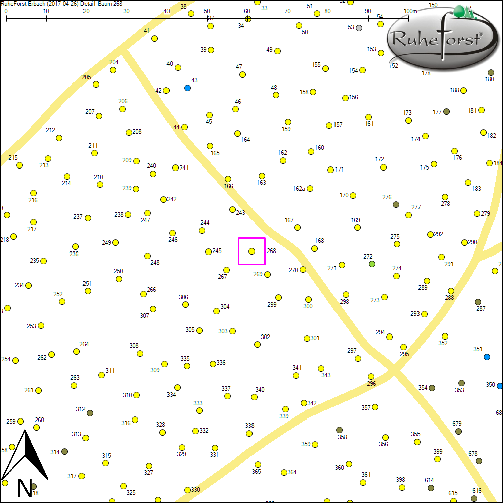 Detailkarte zu Baum 268