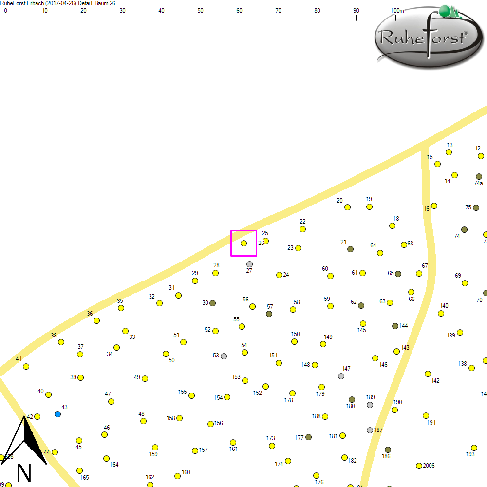 Detailkarte zu Baum 26