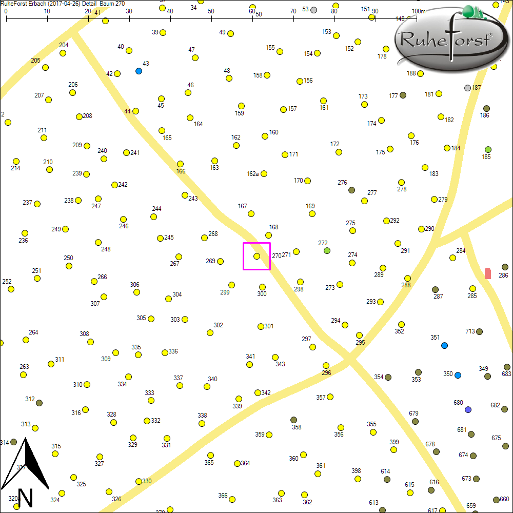 Detailkarte zu Baum 270