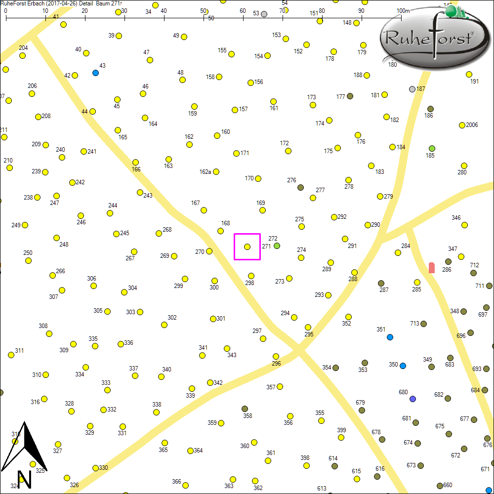 Detailkarte zu Baum 271