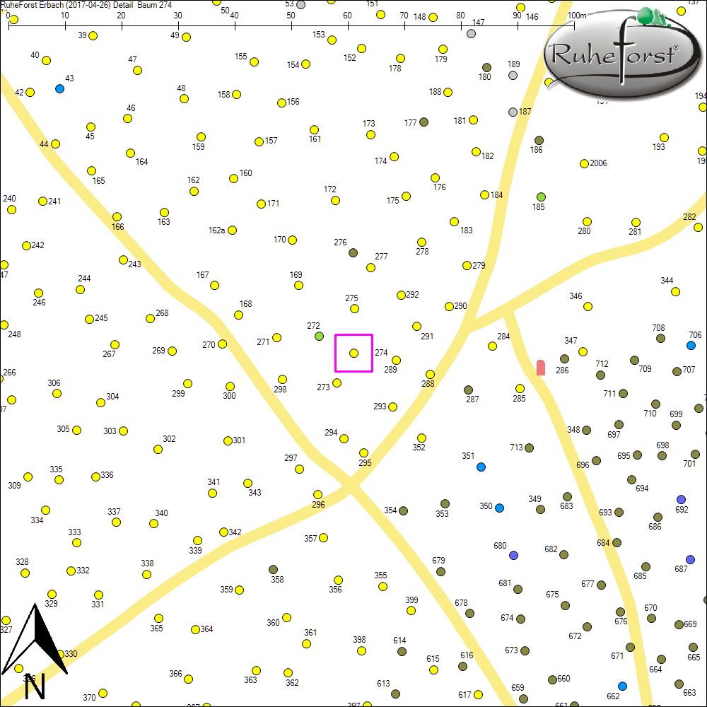 Detailkarte zu Baum 274