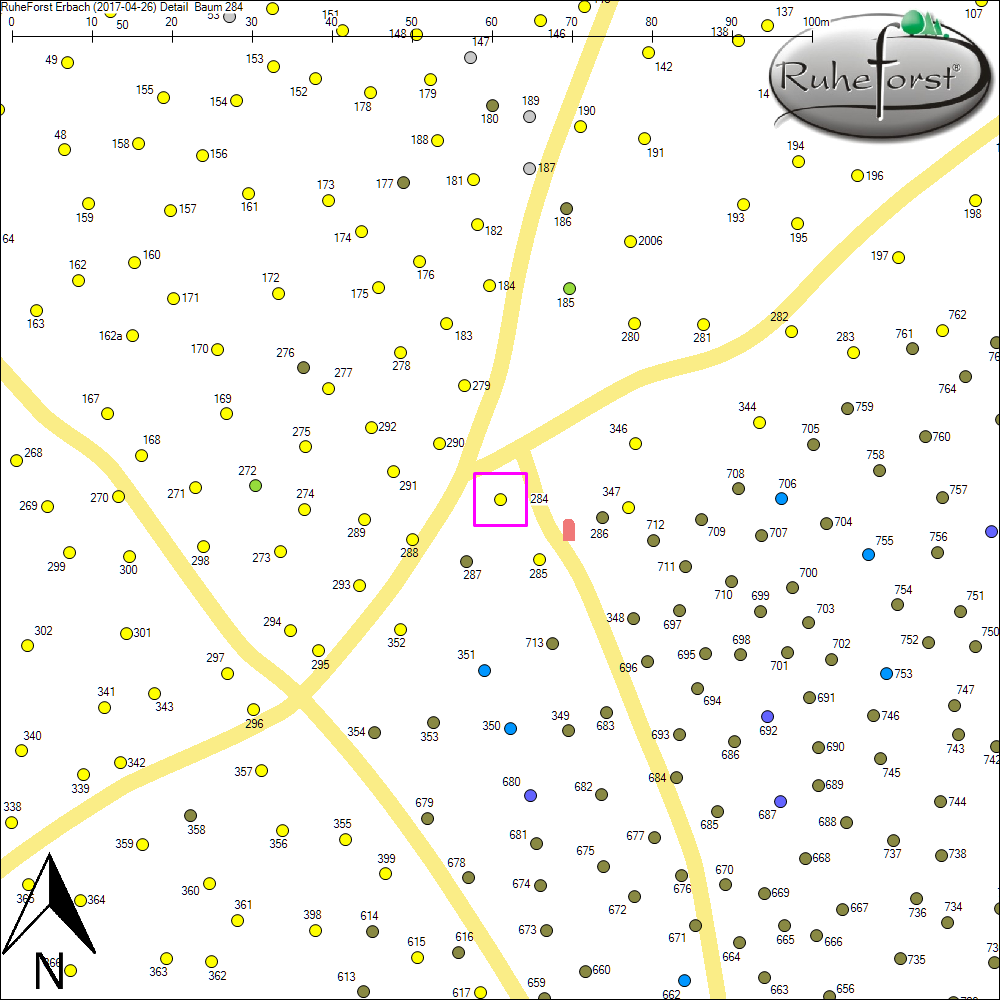 Detailkarte zu Baum 284
