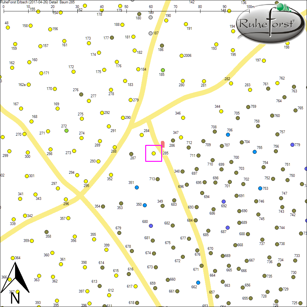 Detailkarte zu Baum 285