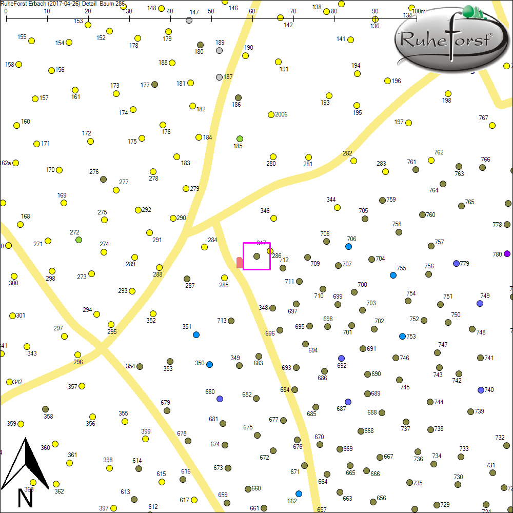 Detailkarte zu Baum 286