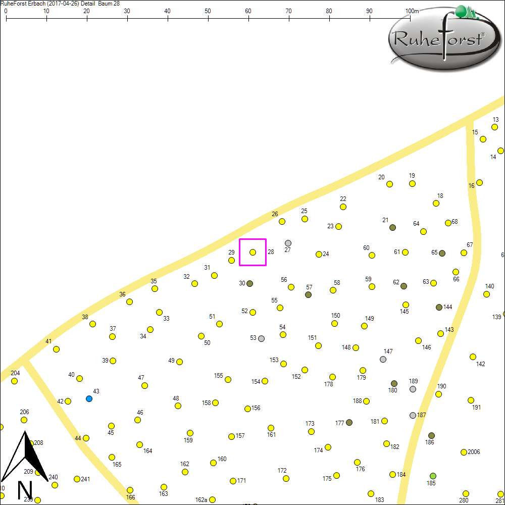 Detailkarte zu Baum 28