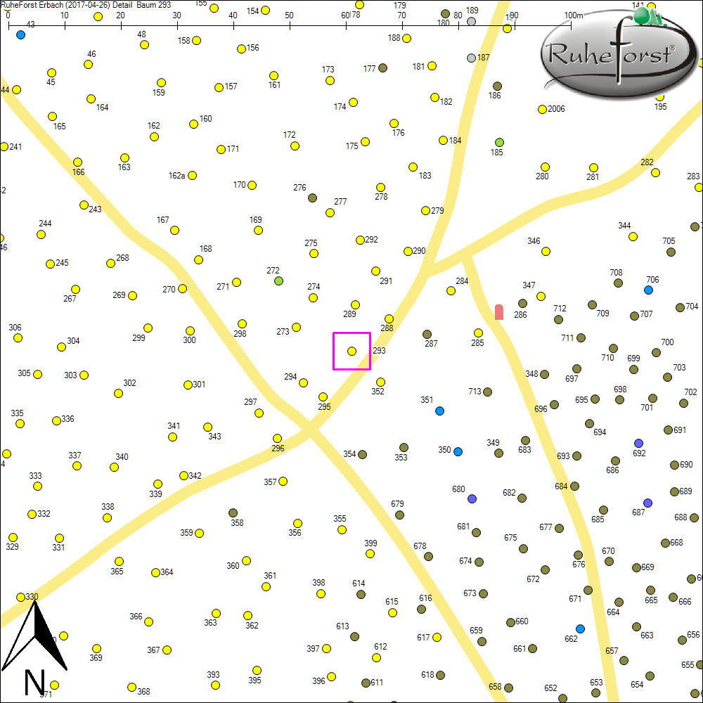 Detailkarte zu Baum 293