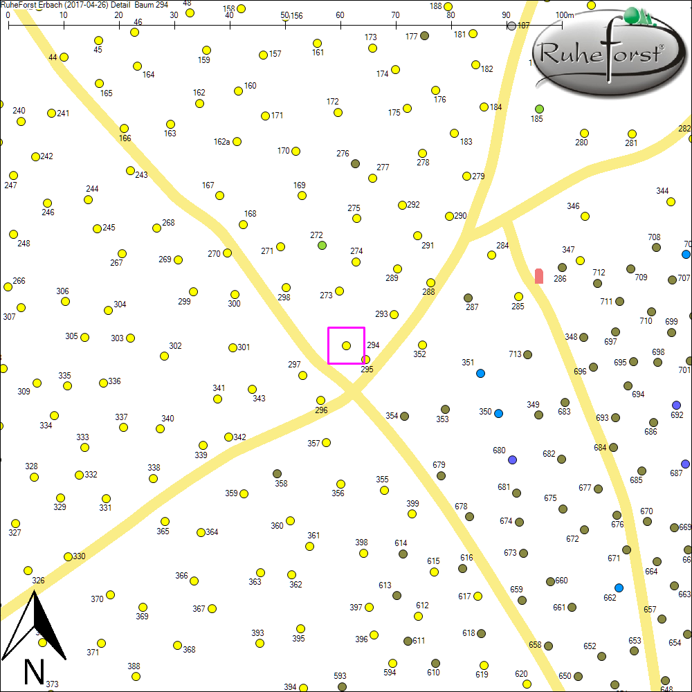 Detailkarte zu Baum 294
