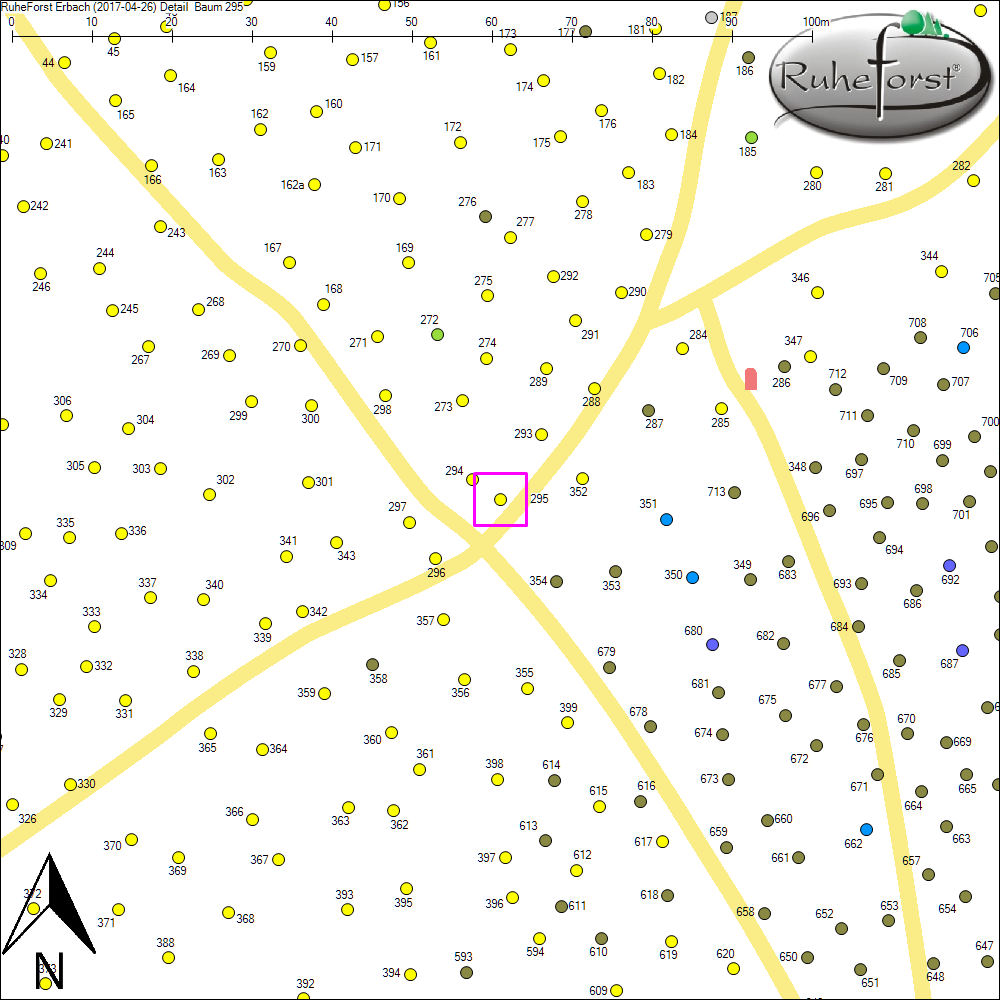 Detailkarte zu Baum 295