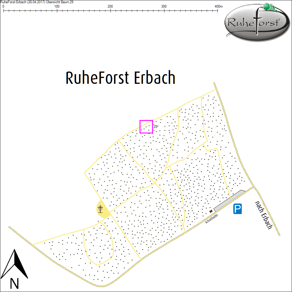 &Uuml;bersichtskarte zu Baum 29