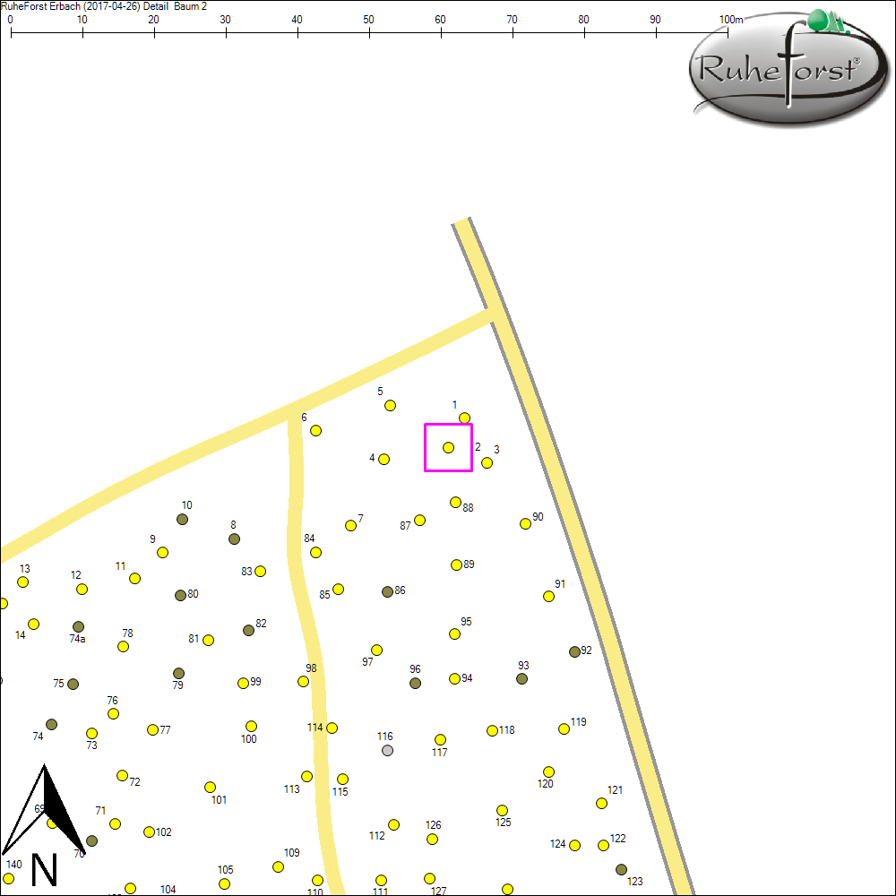 Detailkarte zu Baum 2